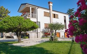 Apartments Vili